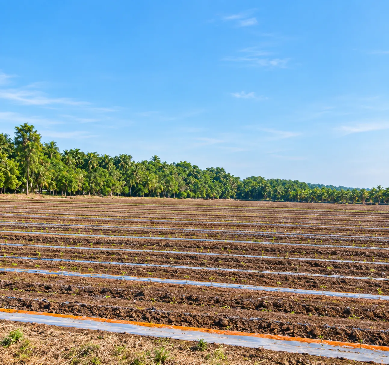 Afco Commercial Investments & Management - Land Parcel 2